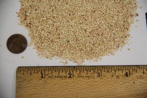 Close-up of crushed cob with a ruler and coin for scale, showing fine texture.