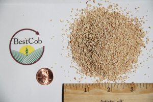 Close-up of beige granular material with BestCob logo and ruler for scale.