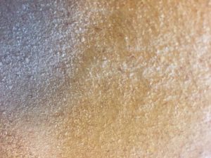 Close-up of a freshly baked cob with a golden-brown crust and textured surface.