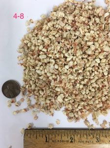 Close-up of chopped nuts with a ruler and coin for scale.