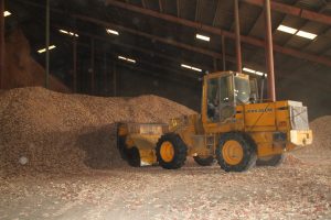 End Loader Scooping Cobs