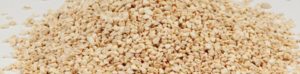 Close-up of high-quality corn cob for gardening and composting.