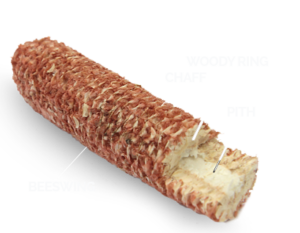 Close-up of Best Cob showing beeswing, woody ring chaff, and pith layers for SEO.