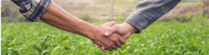 Two people shaking hands in a green field, symbolizing partnership and collaboration.