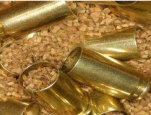 Close-up of brass shell casings on a bed of small wood chips.