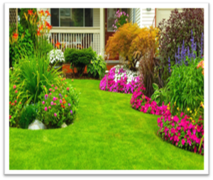 Lush garden with vibrant flowers and well-maintained lawn in front of a house.
