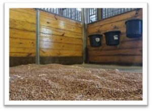 Clean horse stall with wood walls and rubber feed buckets.