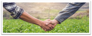 Close-up of two farmers shaking hands in a green field.