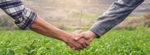 Two farmers shake hands in a green field, symbolizing partnership and agriculture.