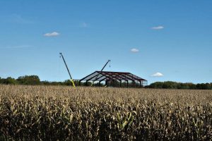 Construction of a large agricultural building in a cornfield under a blue sky.