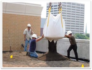 Construction workers pour concrete on a building rooftop with cityscape background.