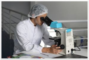 Scientist examining samples with a microscope in a laboratory setting.