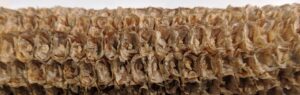 Close-up of textured, fibrous material from Best Cob for insulation or construction.
