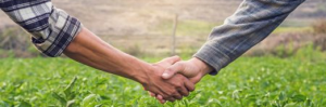 Two farmers shake hands in a green field, symbolizing partnership and agriculture.